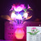 US Plug-in LED Night Lamp Flower Colorful Light Sensor Bedroom Home (LJ-3) Newly