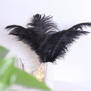 10pcs Fluffy Ostrich Feather Family Room DIY Jewelry Elegant Plume Feather Decor
