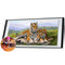 5D DIY Diamond Painting Full Round Drill Tigers Picture of Rhinestone