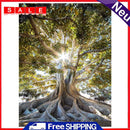 Life of Tree Oil Paint By Numbers Kits Canvas Drawing DIY Coloring Picture Art