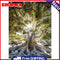 Life of Tree Oil Paint By Numbers Kits Canvas Drawing DIY Coloring Picture Art