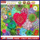 Love Succulent Plants Picture Diamond 5D Drill Round Painting DIY Full Kit