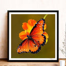 5D DIY animal butterfly full circle diamond painting diamond E755
