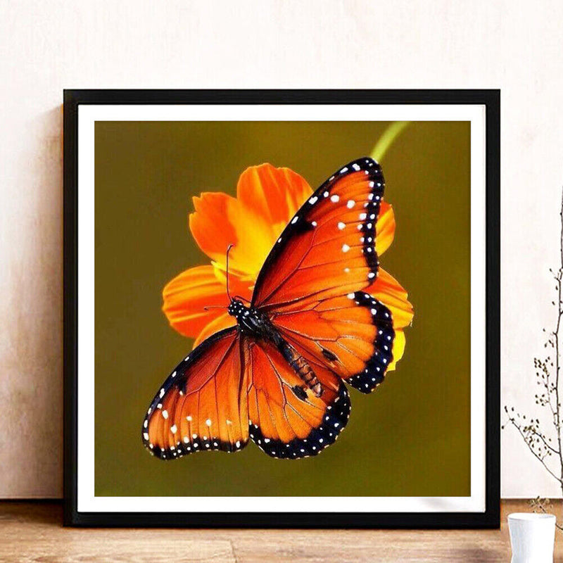 5D DIY animal butterfly full circle diamond painting diamond E755