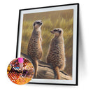 5D Diamond Painting Kit DIY Animal Full Round Drill Art Picture Home Decora