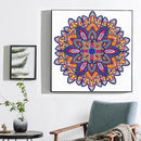 Partial Drill 5D Special Shape Diamond Painting Abstract Mandala Kit (X053)