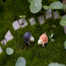 Landscape Garden Bonsai Moss Fish Decoration Ornaments Tank Decor Mini Turtles