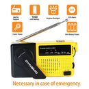 Lamp Flashlight Torch Emergency Radio Hand Crank AM/FM Radio Dynamo Wind Up