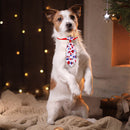 Pet Bow Ties Neckties Triangle Scarf Set - Durable & Soft Material for Pets