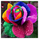 5D DIY Part Drill Diamond Painting Colorful Flower Cross Stitch Embroidery Craft