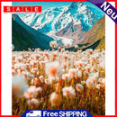Snow Mountain Diamond Painting 5D DIY Drill Point Picture Kits for Wall Gift