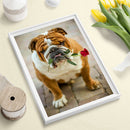 Full Round Drill Diamond Painting 5D DIY Dog Rhinestone Wall Art Animal Mosai
