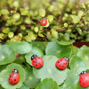 100x Mixed Ladybird Mini Self Adhesive Wooden Ladybugs Craft Card Wood Top hot.