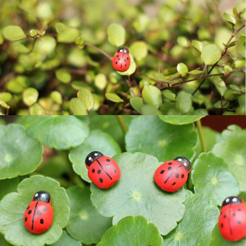 100x Mixed Ladybird Mini Self Adhesive Wooden Ladybugs Craft Card Wood Top hot.