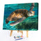 DIY Hand Painted Paint By Numbers Oil Canvas Pictures Sea Turtle Kit Room D