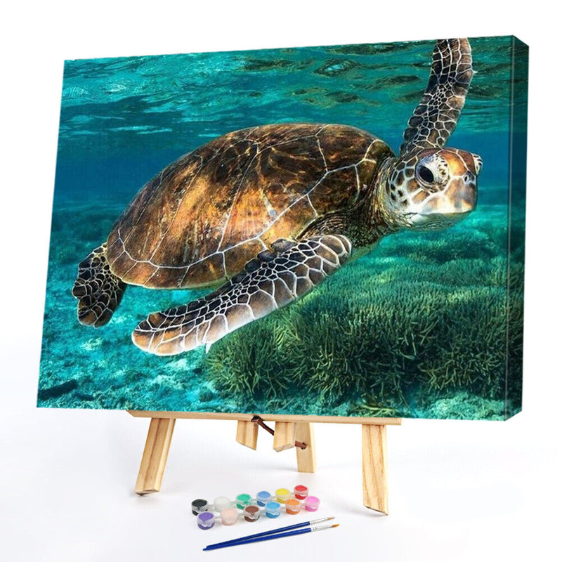 DIY Hand Painted Paint By Numbers Oil Canvas Pictures Sea Turtle Kit Room D