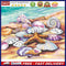 Sea Shells Oil Paint By Numbers Kits DIY Handpainted on Canvas Wall Art Pic