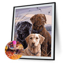 5D DIY Full Drill Diamond Painting Dog Cross Stitch Embroidery Mosaic Craft