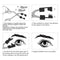 Dual Magnets Magnetic Eyelashs Clip Magnetic Eyelashes No Glue Needed Eyelashes
