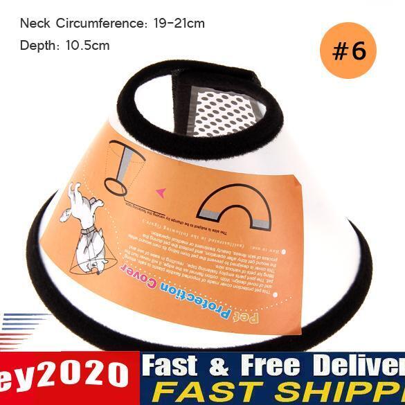 Dog Wound Healing Medical Beautify Shower Protective Collar Pet Tool #6 Newly