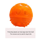 Pet Dog Bite Resistant Sound Molar Ball Training Interactive Ball (Orange) Newly