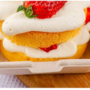 Bento Box Disposable Cake Box Picnic Box Burger Box Lunch Box Cake Box