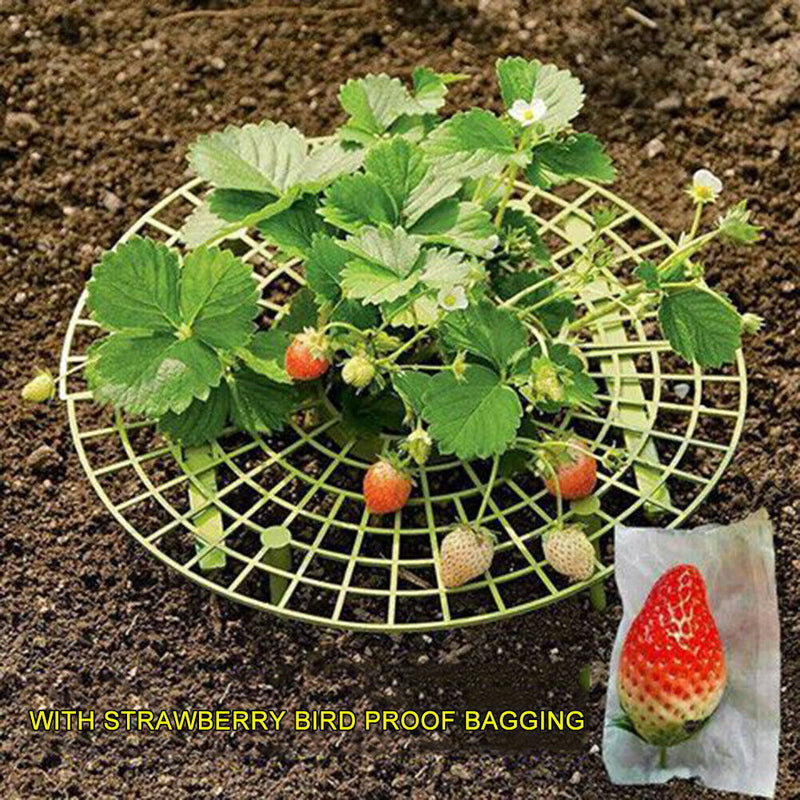 Strawberry Stand Frame Balcony Vegetable Holder Planting Racks (10pcs) Newly
