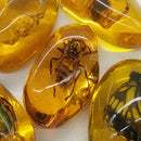 Beautiful Amber Hornet Fossil Insects Manual Polishing Decor O8N5