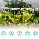 Angel Ring Plant Light Sunlight Phytolamp USB Nursery Lamp (One for Four) Newly