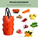 Plant Grow Bag 3 Gallons Strawberry Tomato Gardens Planting Pouch (Orange) Newly