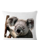 Non-fading Koala Printed Pillowcases Square Cleanable Sofa Car Cushion Covers