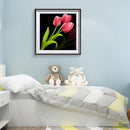 5D Full Round Drill Diamond Painting DIY Pink Tulip Wall Rhinestone Picture