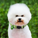 12pcs Cat Collar Nylon Pet Collar with Bell Charms Collar for Small Puppy K