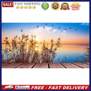 DIY Paint by Number Kit Art Unique Gift Reeds at Sunset Pattern Kill Time Tools