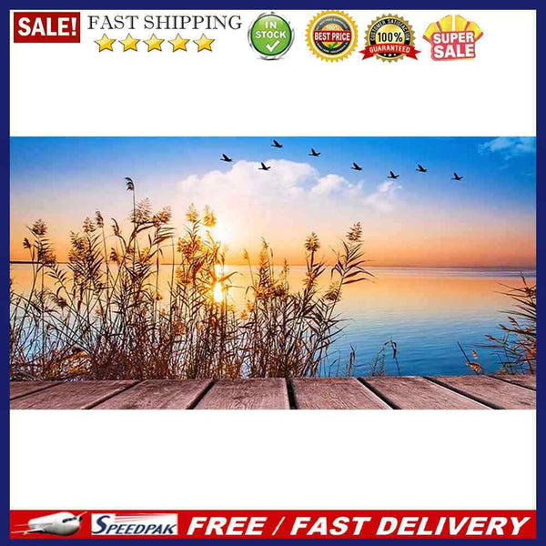 DIY Paint by Number Kit Art Unique Gift Reeds at Sunset Pattern Kill Time Tools