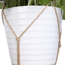 Macrame Plant Hanger Flowerpot Holder Gardenpot Lifting Rope (MS01)