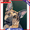 DIY Oil Paint by Numbers Dog Animal Hand Painted Acrylic Drawing Home Decor Kit