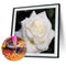 5D DIY Round Drill Diamond Painting White Rose Cross Stitch Embroidery Kit