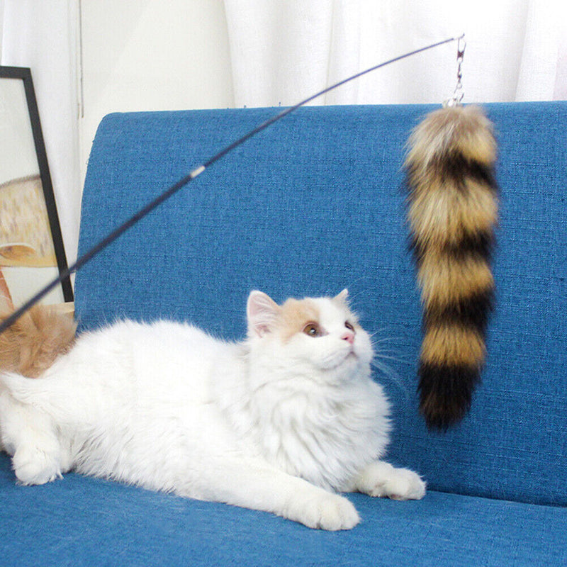 Cat Funny Feather Telescopic Stick for Kitten Playing Teaser Interactive To