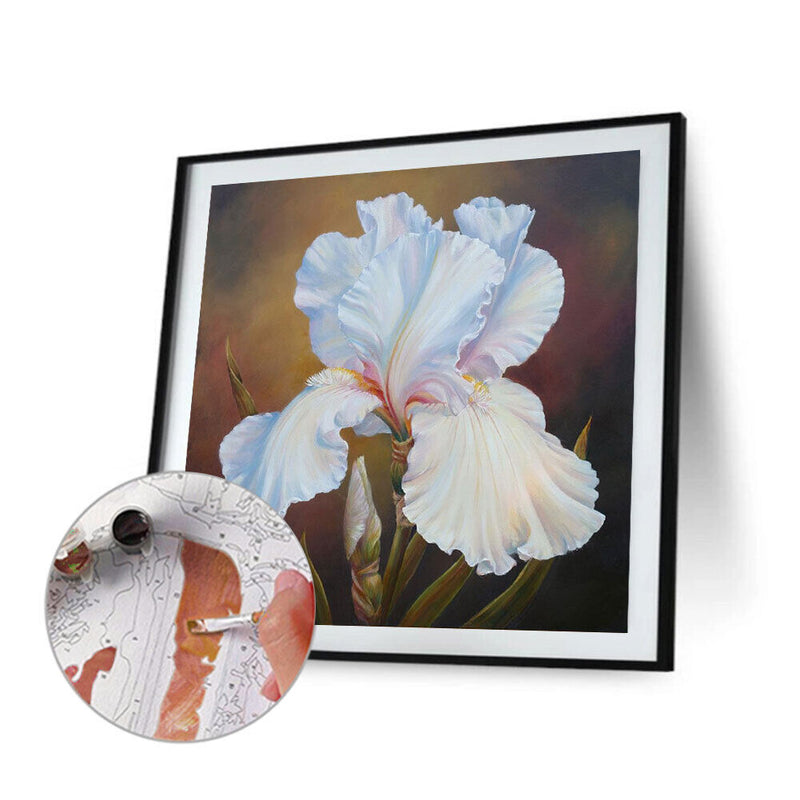 Flower Oil Paint By Numbers DIY Handpainted on Canvas Wall Art Picture Craft