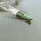 Simulation Crocodile Head 2.4G RC Boat Remote Control Electric Toys#