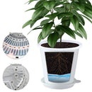 Clear Root Control Pot Orchid Fleshy Flower Breathable Container (White) Newly