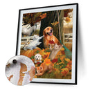 Playing Cat and White Horse Oil Paint By Numbers Kit Art Picture 40x50cm (B1603)