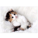 White Adorable Cat 5D Diamond DIY Painting Craft Kit Home Decor