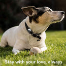 Dog Cat Collar Loop Washable Dustproof Protective Case Cover for Air Tag Trac