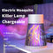 #A Mute Electric Mosquito Killer Lamp Pest Control Night Lighting Killing Lamps