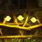 Wall lamp LED Solar Lamp Induction Wall Light Fence Lamp LED Solar Wall Light