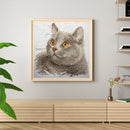 Partial Embroidery Stamped Cat DIY Cross Stitch Kits 11CT Needlework Sets Gift