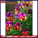 Cross Stitch 5D DIY Diamond Painting Blossom Flowers Needlework Home Wall Dec