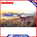 Kill Time Artcraft Elk Paint by Number Kit on Canvas Oil Paint Picture Colouring